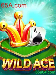 Explorando o Universo Emocionante do Jogo WildAce Incluindo a Chave 65A.com